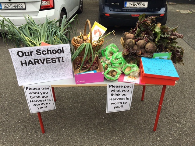 school-harvest